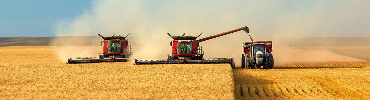 ООО «ЗАВОД ЭНДОКРИННЫХ ФЕРМЕНТОВ» на выставке БЕЛАГРО 2019