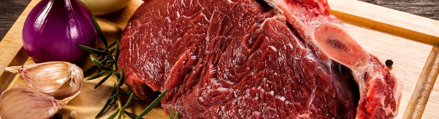 Протепсин. Брошюра.